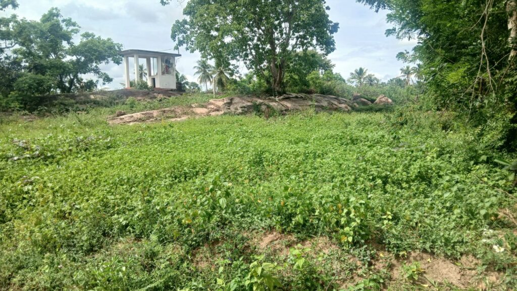 Land Sale In Narammala