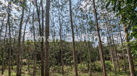 Land Sale In Galapitamada