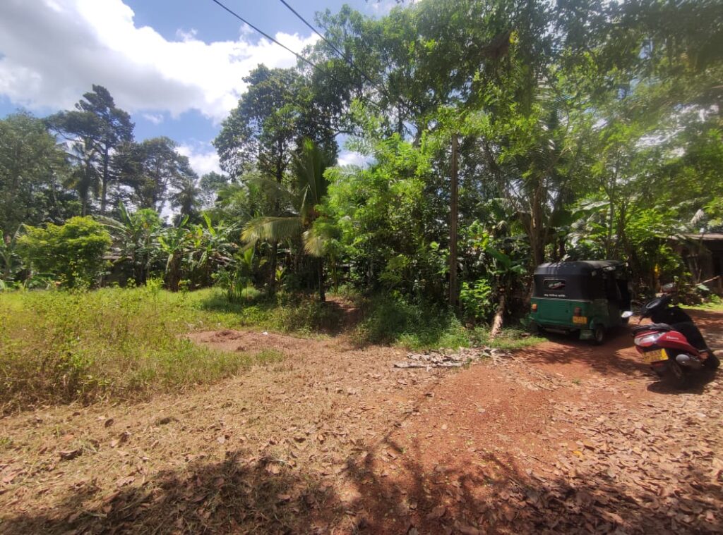 Land Sale In Aththanagalle