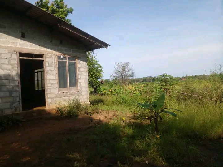 House Image 2