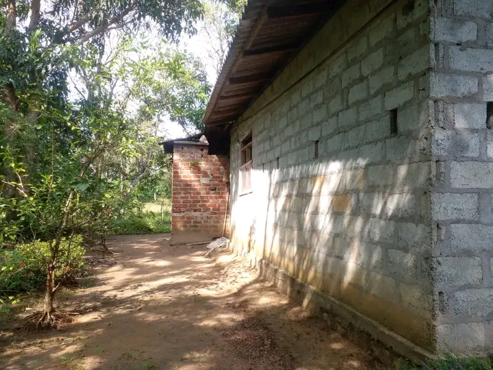 House Image 3