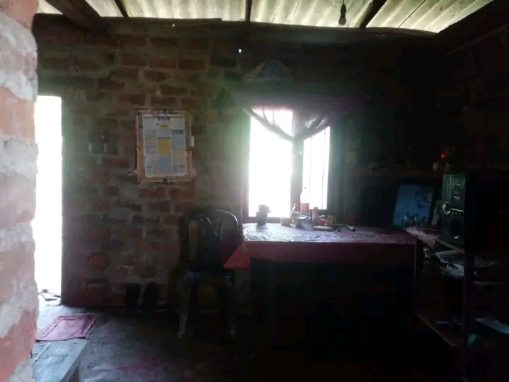 House Image 4
