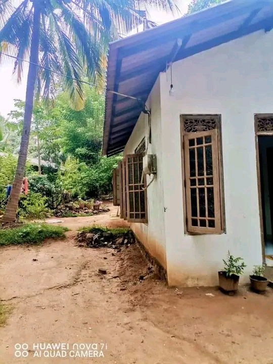 House Sale In Udawalawa