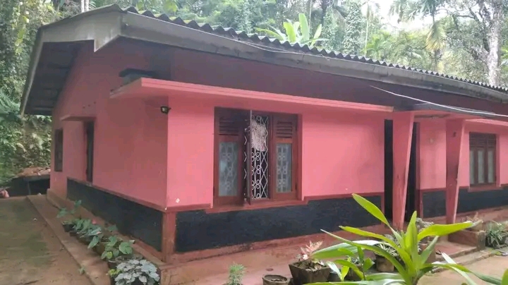 House Image 2
