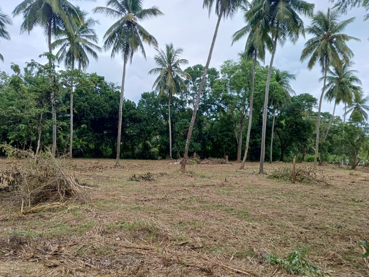 House Sale In Abilipitiya