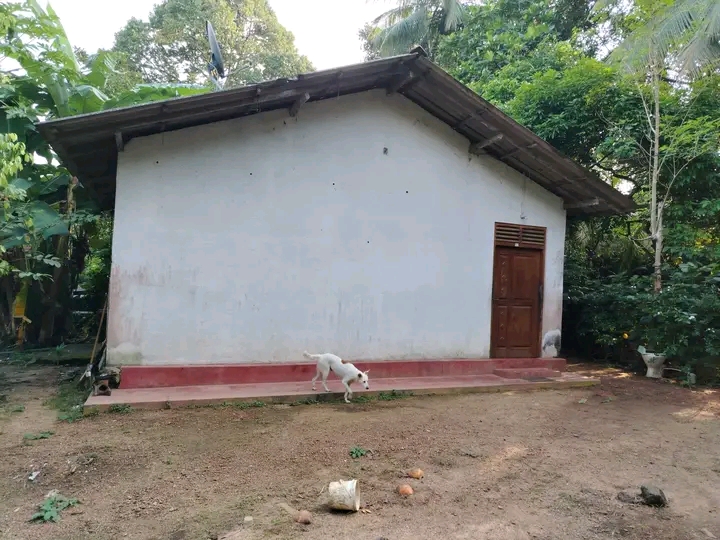 House Sale In Hanwella