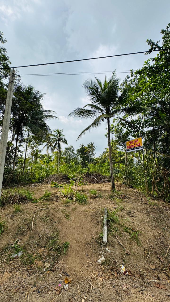 Land Sale In Hikkaduwa