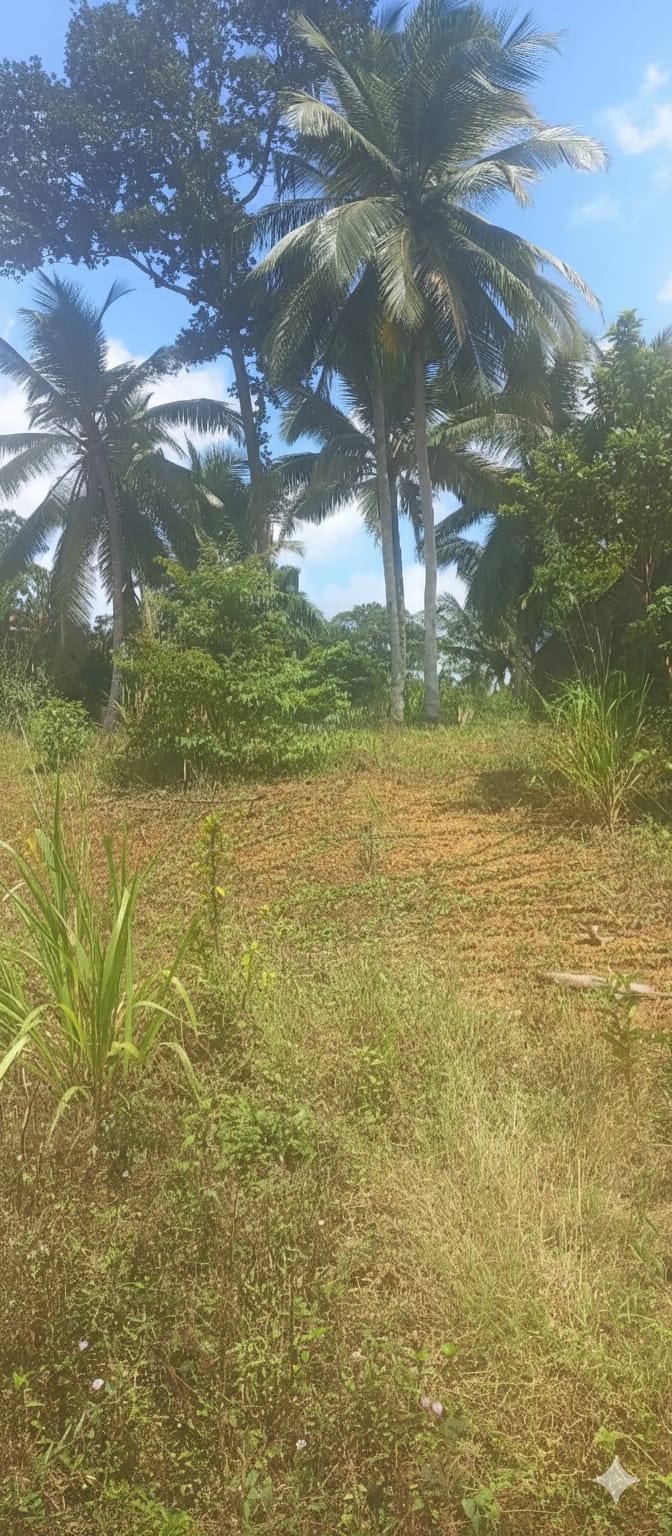 Land Sale In Elpitiya
