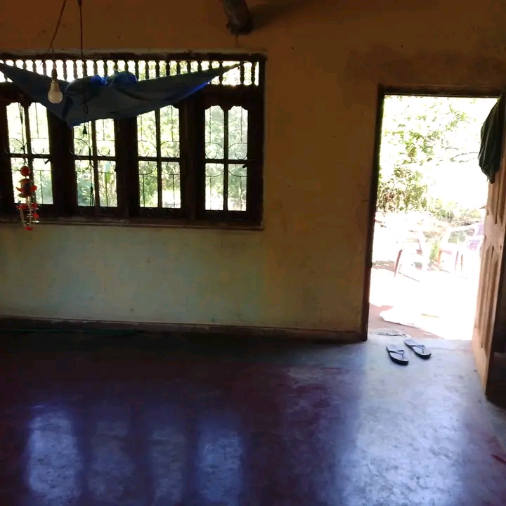 House Image 2