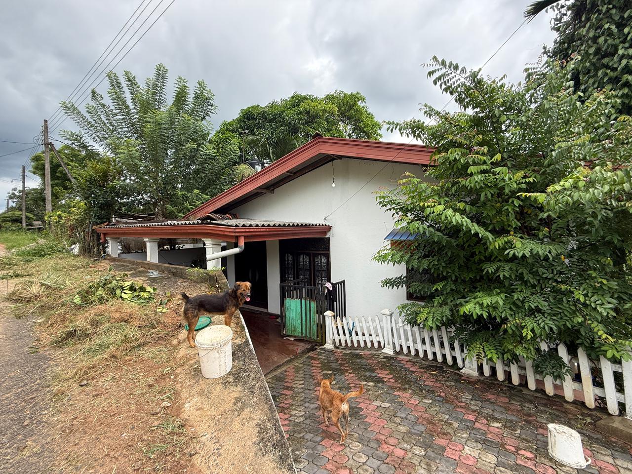 House Sale In Meegoda