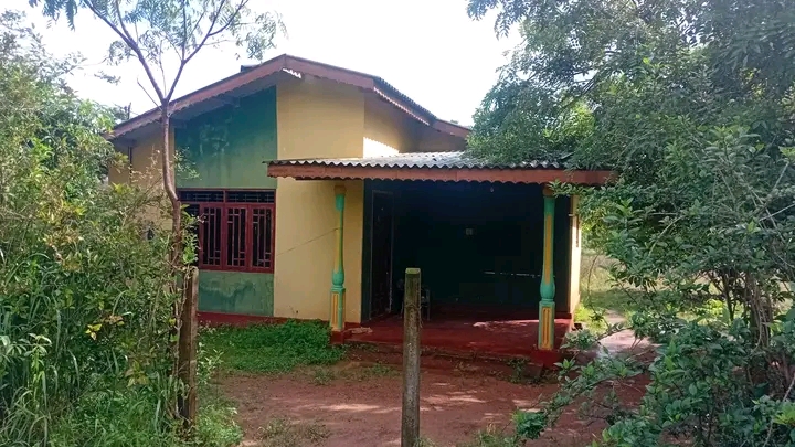 House Sale in Thirappne