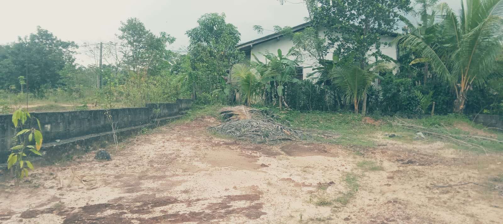 Land Sale In Padukka