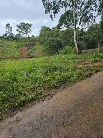 Land Sale In Balanhoda