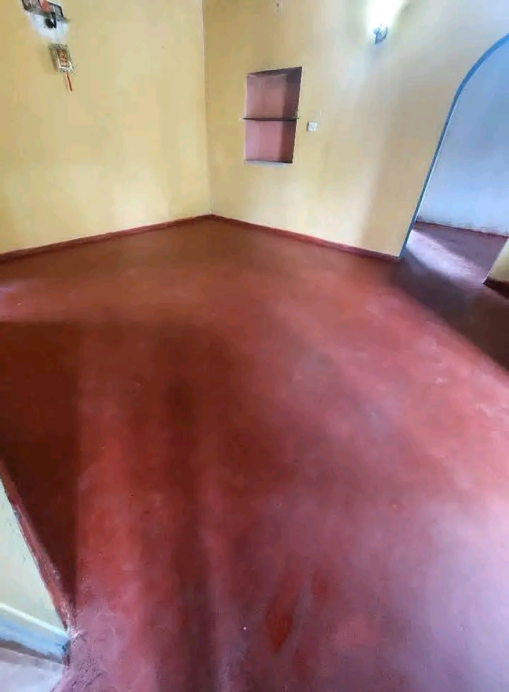 House Image 2
