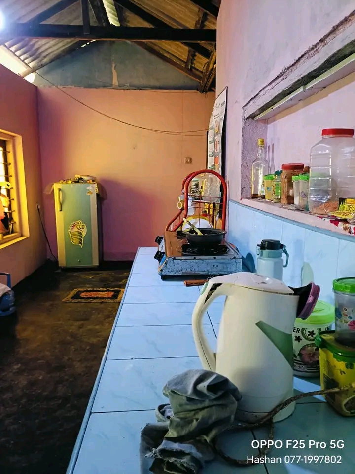 House Image 3