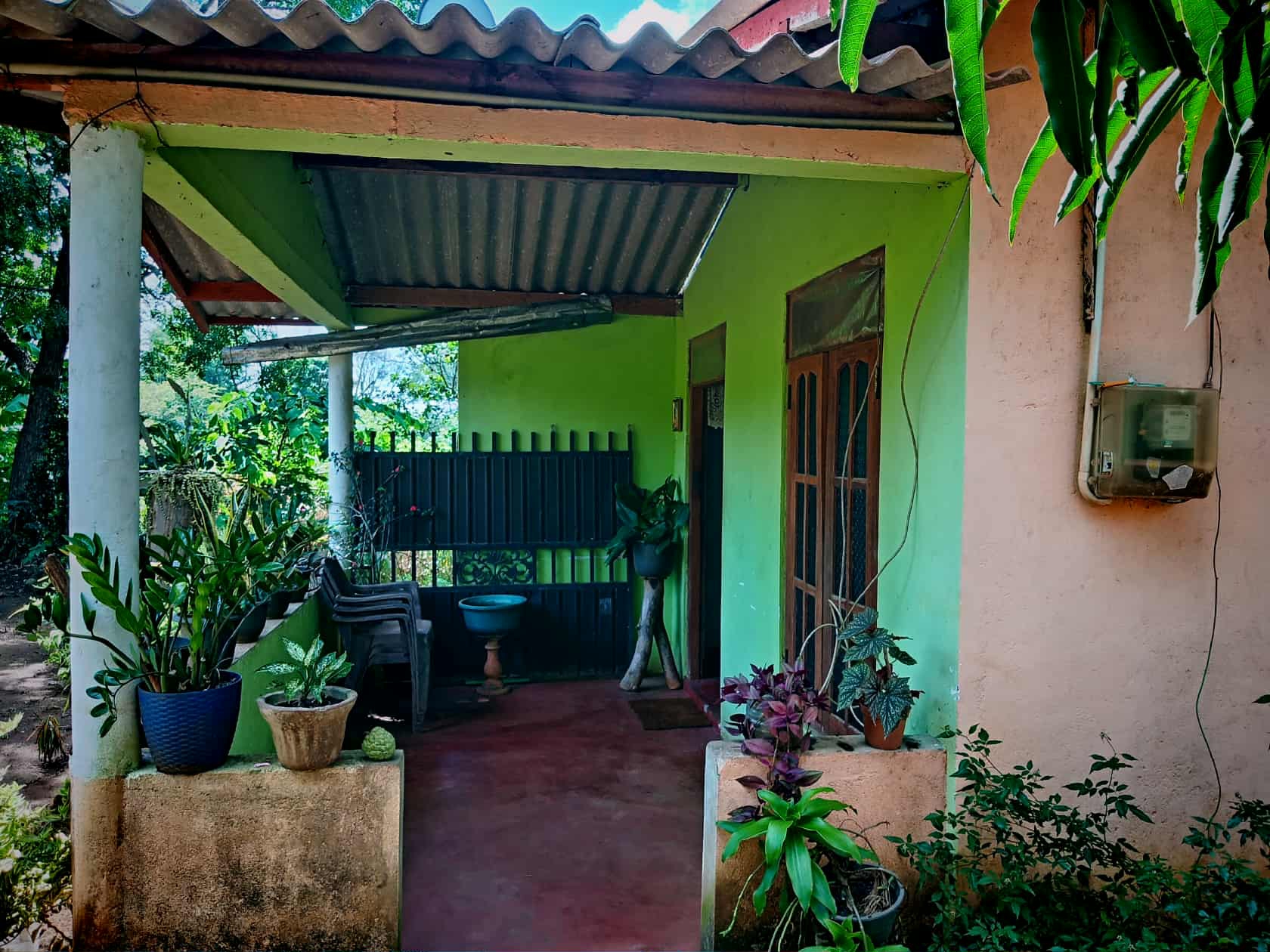 House Image 2