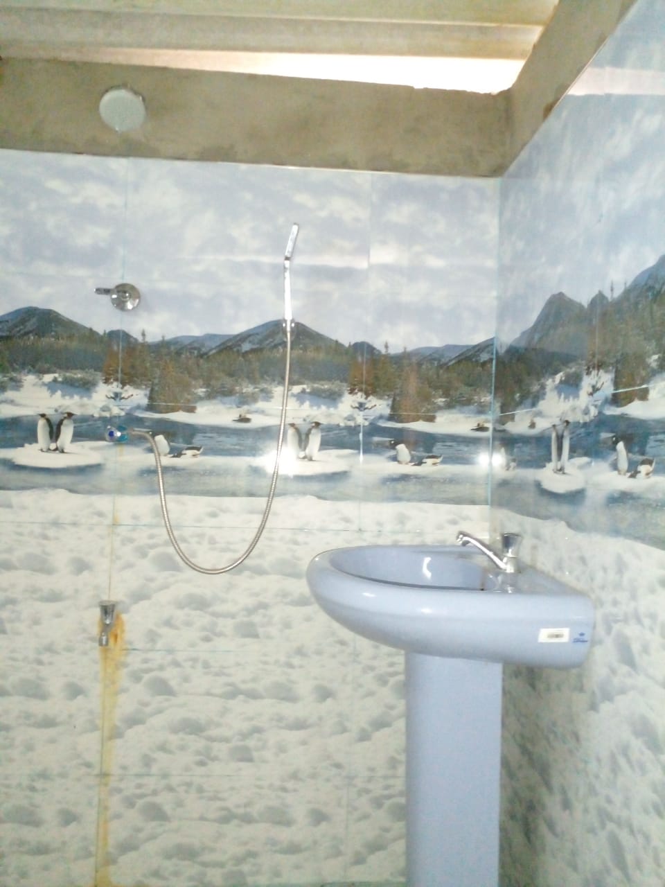 House Image 5