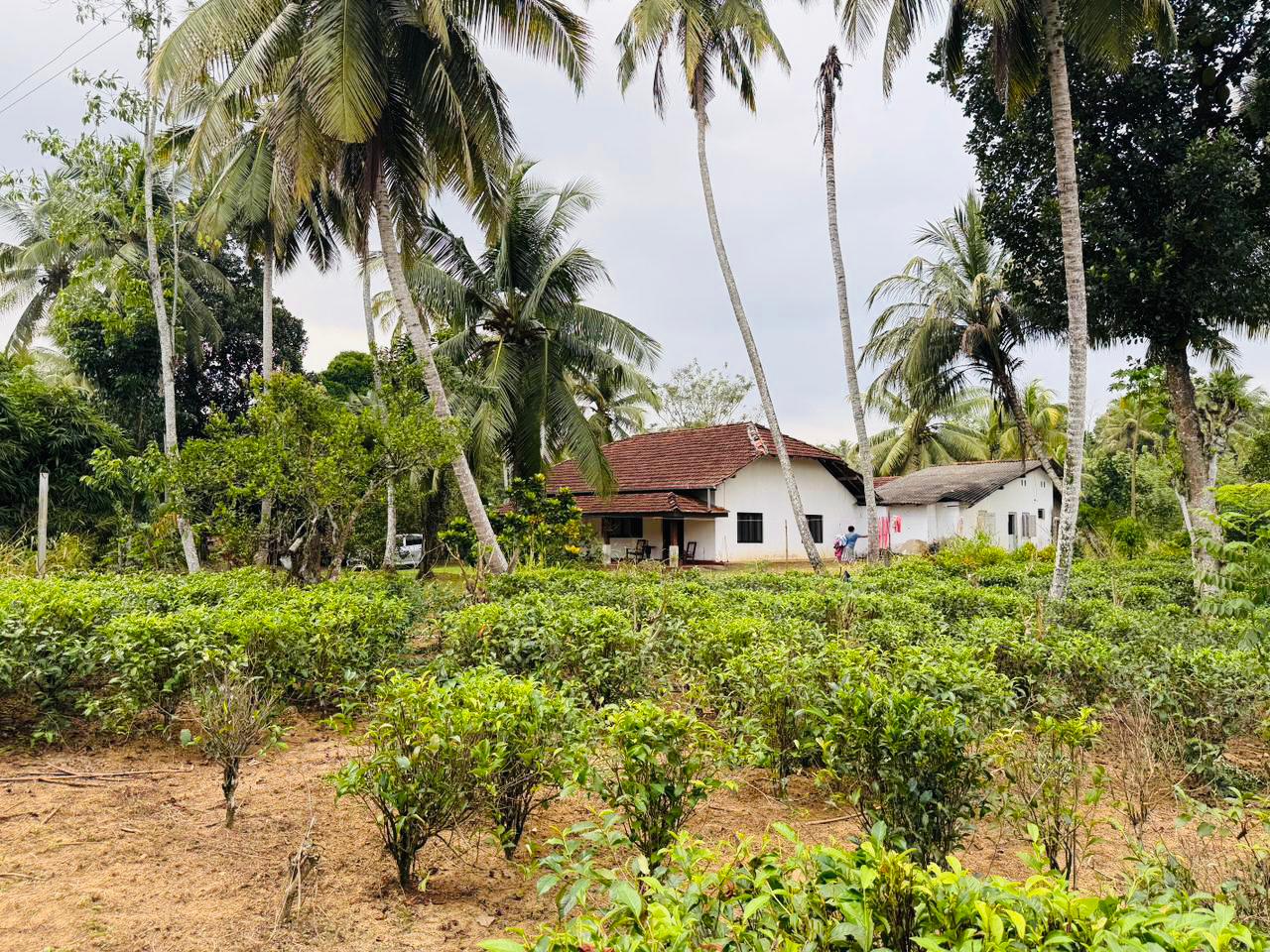House Image 5