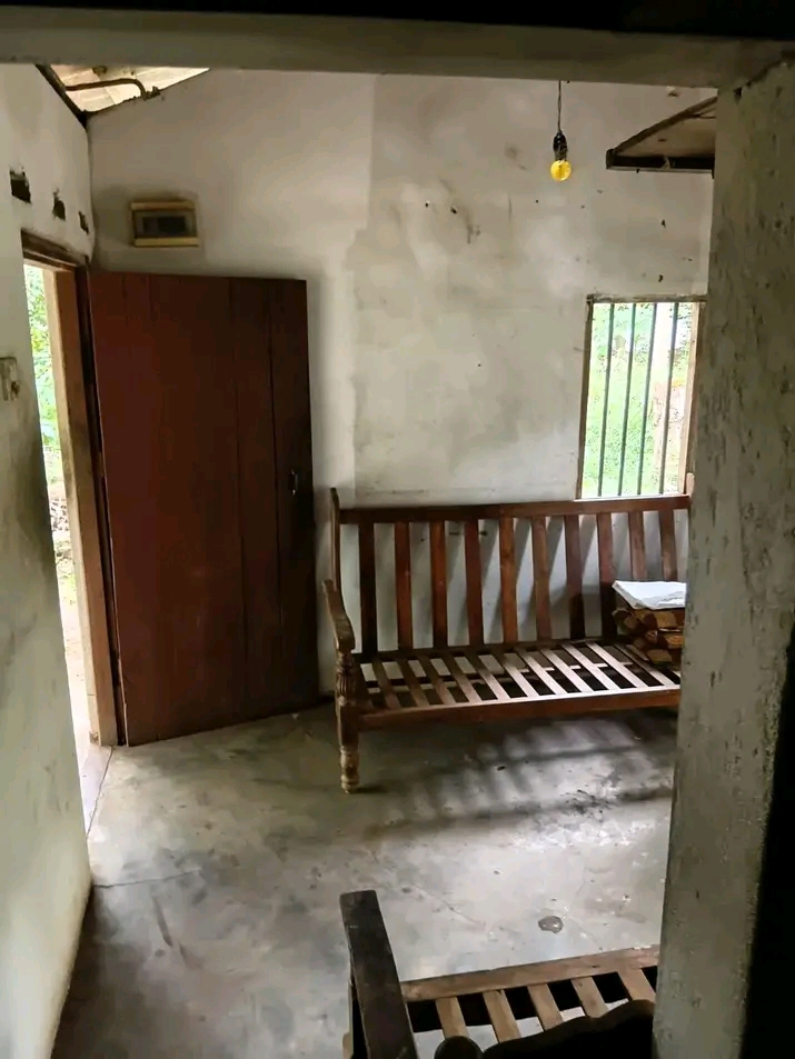 House Image 3