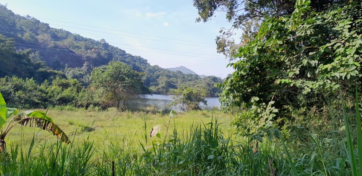 Land Sale in Galewela