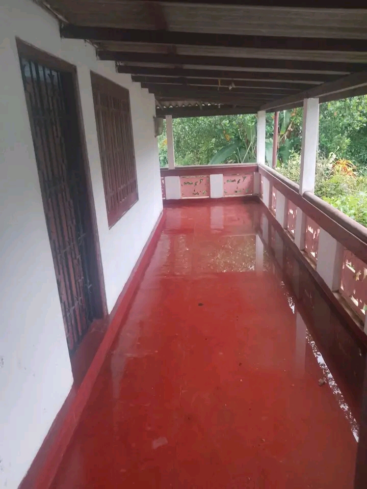 House Image 2