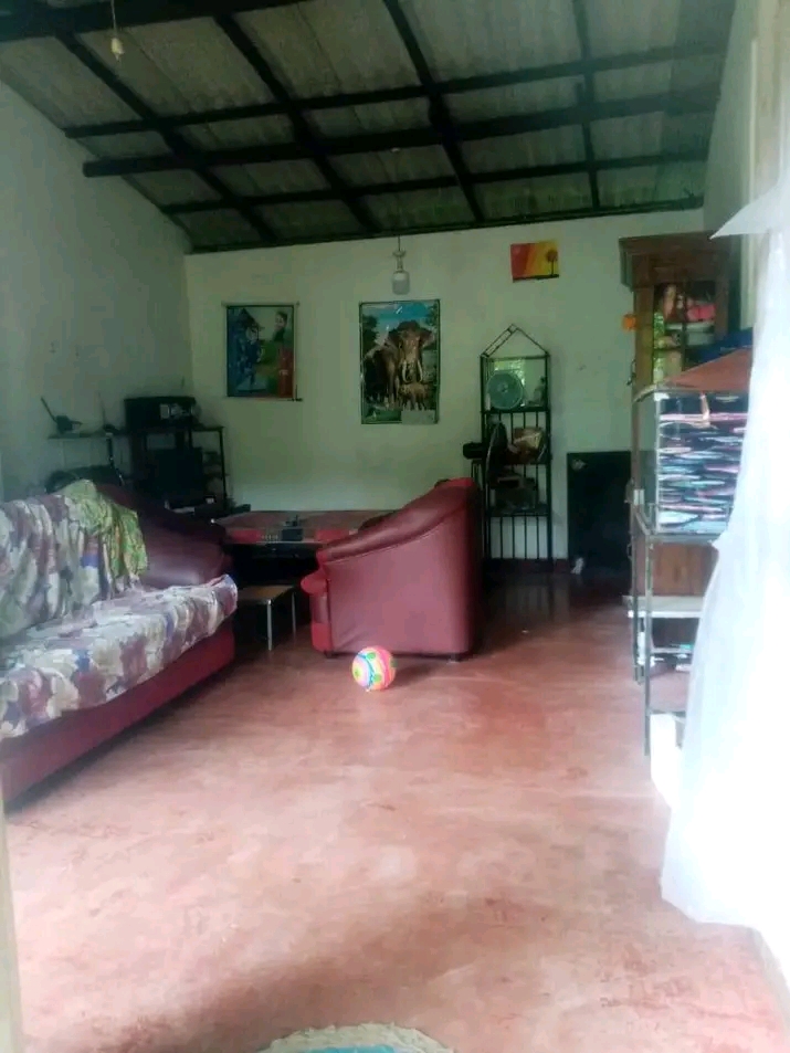 House Image 2