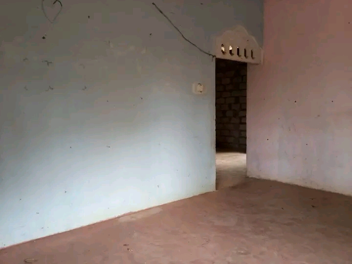 House Image 2