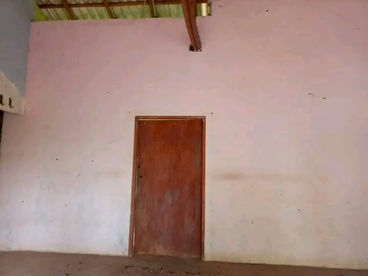 House Image 3