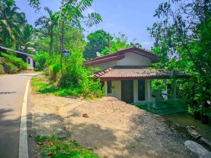House Image 3