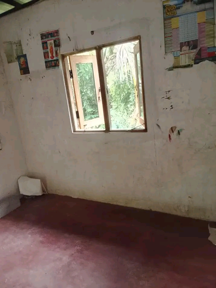 House Image 2