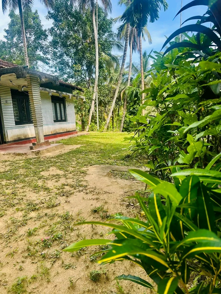 House Sale In Mawanella