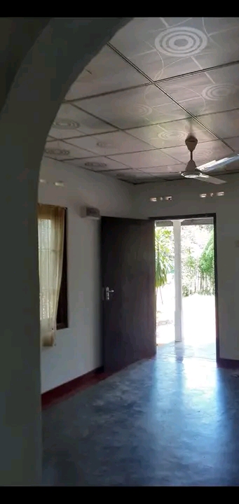 House Image 3