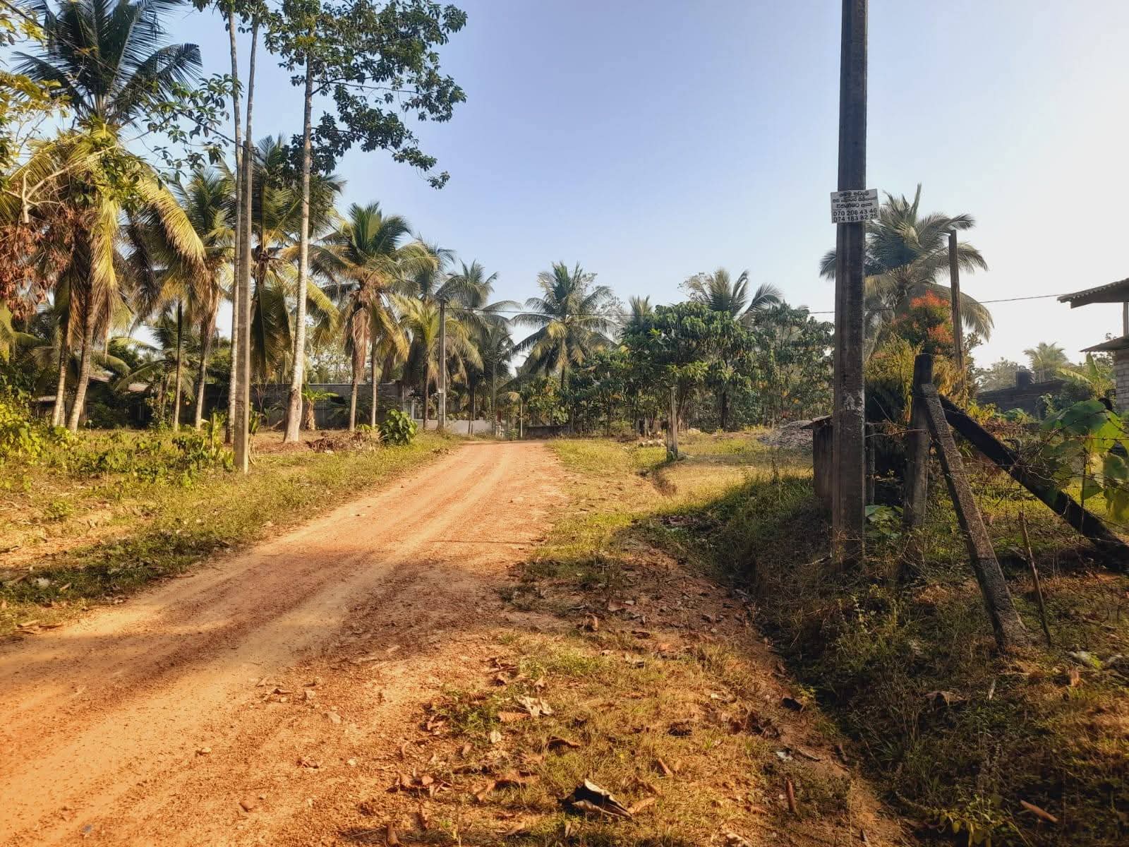 අඩුවට ඉඩමක්‌ සොයනනෙකුට පට්ටම වටිනවා