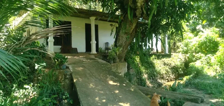 House Sale In Gampaha