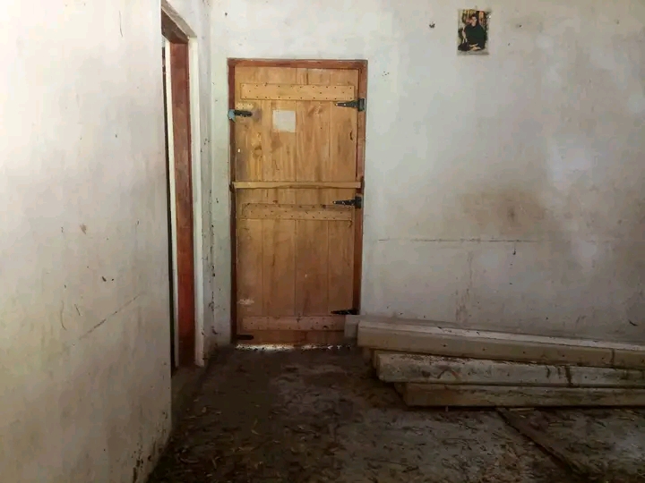 House Image 2