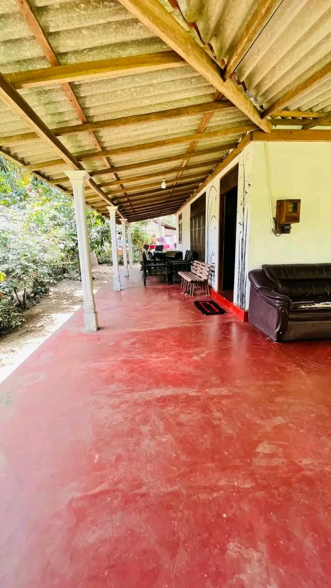 House Image 4