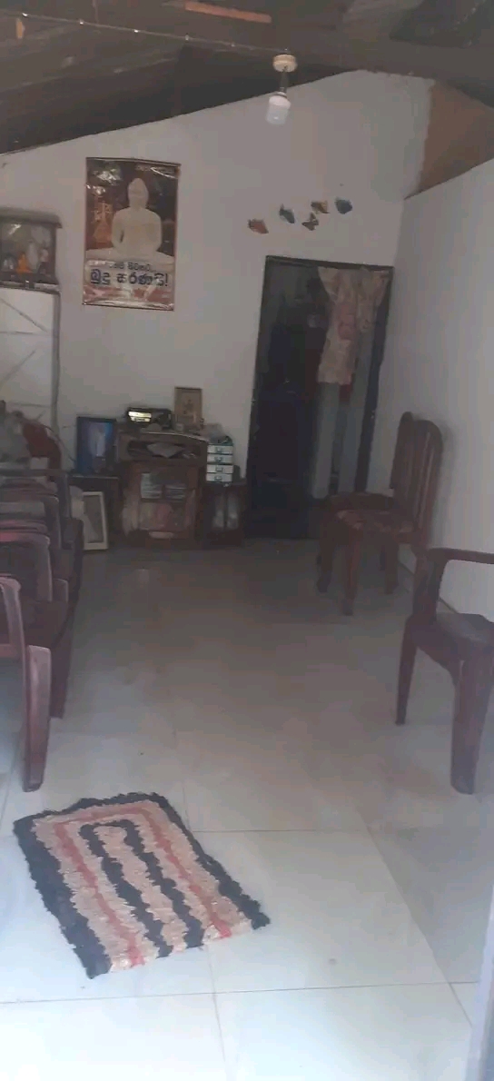 House Image 2
