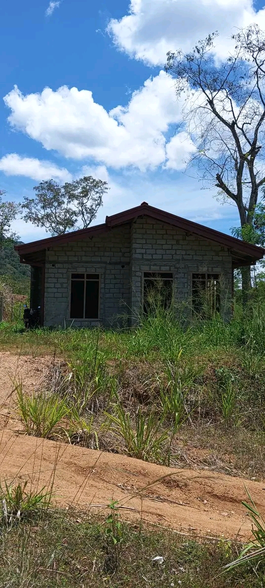 House Image 2