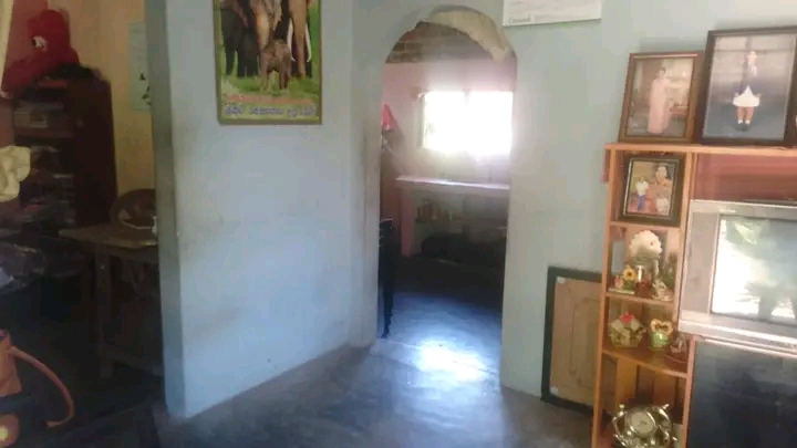 House Image 2