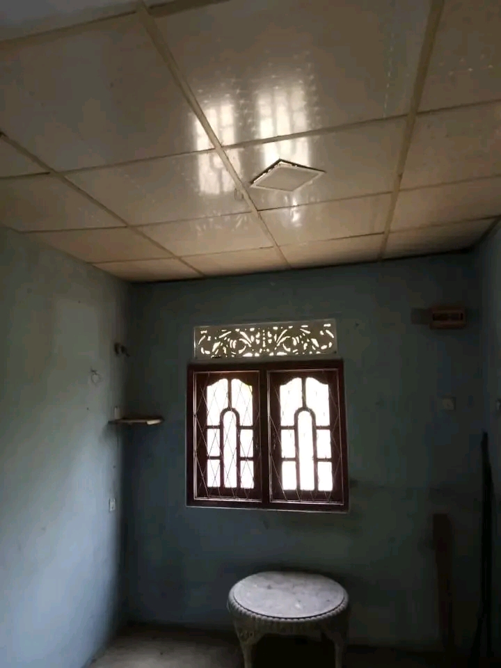 House Image 3