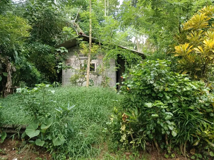 House Sale in Gampaha