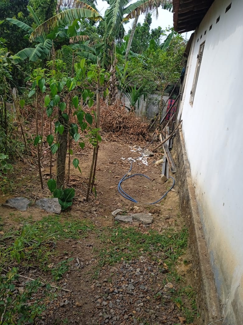House Image 2